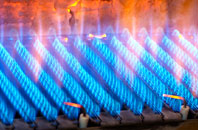 Preston Capes gas fired boilers